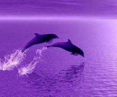 كود خصم عوالم البنفسج